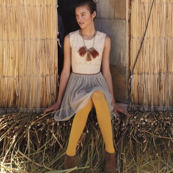 Anthropologie Dresses & Skirts - Weston Wear Dulcie Tulle Dress